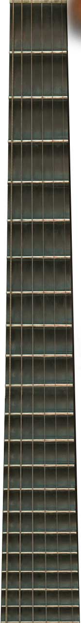 Guitar Fretboard